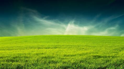 Lawn Wallpapers - Wallpaper Cave