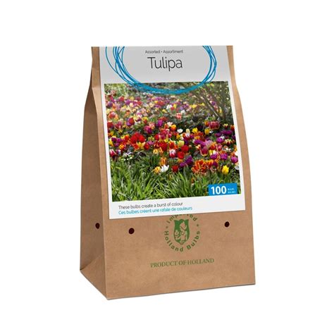 Bulbs are Easy Tulip Assorted | The Home Depot Canada