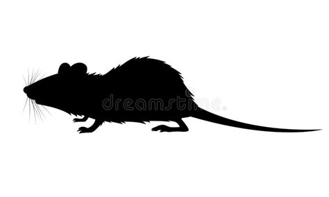 Graphic shadow rat stock vector. Illustration of symbol - 215127271