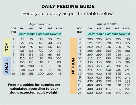 Dry Raw Food Feeding Guide | The Innocent Hound – The Innocent Pet