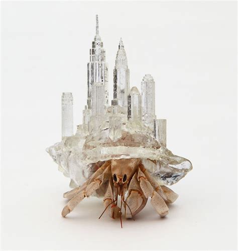 Architecturally Inspired Hermit Crab Shell - Neatorama