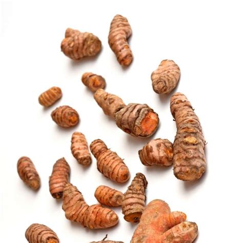 Turmeric - Curcuma - Assortment - Special Fruit