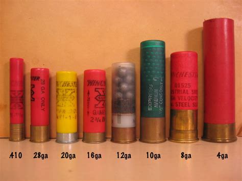 Ammo and Gun Collector: Shotgun Shell Gauge Size Comparison