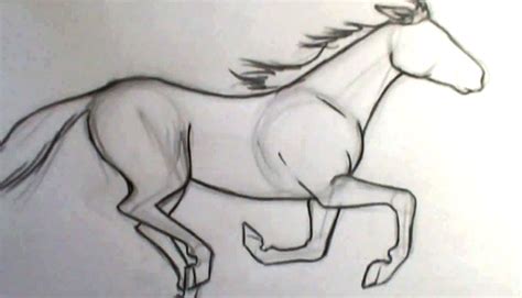 Galloping Horse Sketch