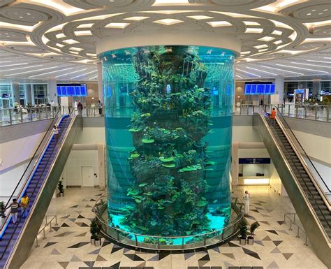 World´s biggest airport Aquarium at... - Life in Saudi Arabia