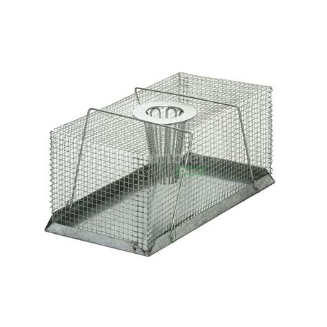 AgBoss Live Multi-Catch Mouse / Rat Trap Large | Shop Online Now at Ambler Direct