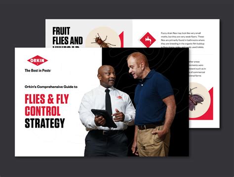 Flies & Fly Control Strategy