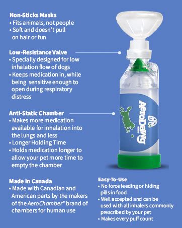 Amazon.com : Aerokat The Original Aerokat Feline Aerosol Chamber ...