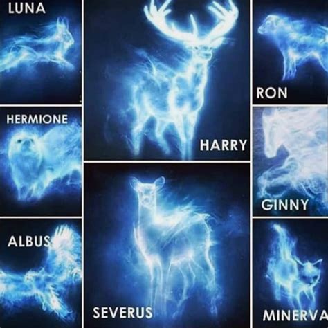 Harry Potter Patronus