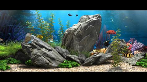 Live Aquarium Wallpaper