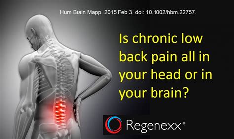 Chronic Low Back Pain is in Your Back and in Your Brain... - Regenexx®