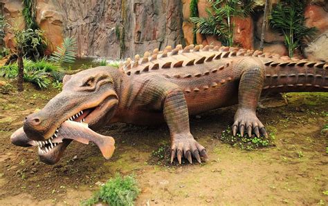 TIL Based on fossil evidence, the longest crocodile ever to live was a ...