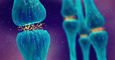 Brain Hormones | Endocrine Society