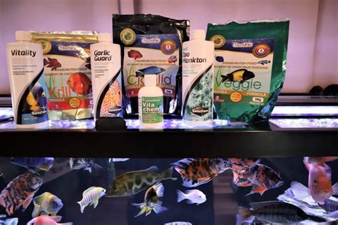 Aquarium Fish Food: All Brands are Missing Essential Nutrients