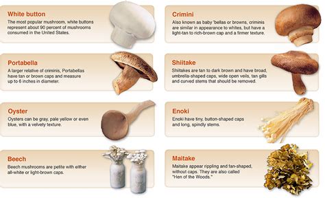 Mushrooms | Food Source Information