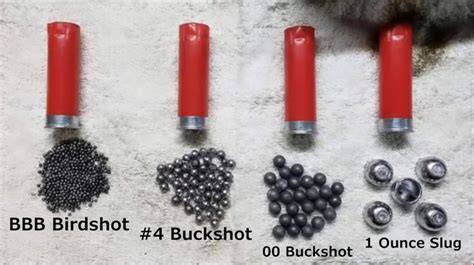 Understanding Shotgun Shells: Types, Sizes, and Applications.