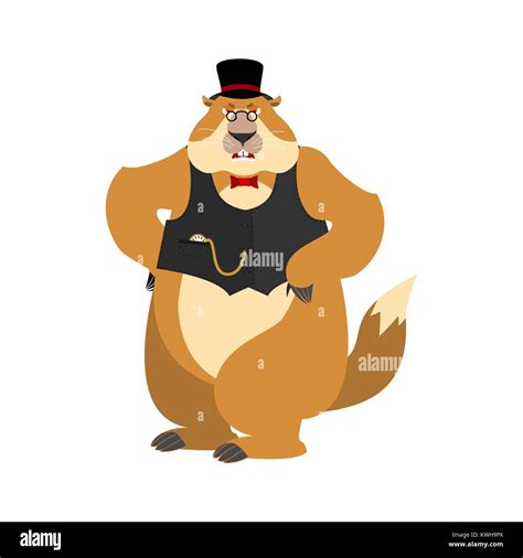 Groundhog day. Groundhog in Hat angry. Woodchuck evil emotions avatar ...