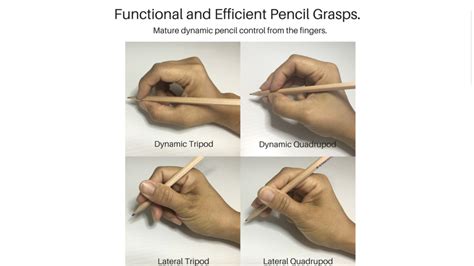 Pin by Haha Ivy on Pencil grasp | Pencil grasp, Grasp, Pencil