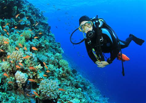 Scuba Diving in Sharm el Sheikh - 2020 Travel Recommendations | Tours, Trips & Tickets | Viator