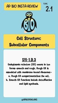 Unit 2 AP Bio Insta-Review (2022-2023) by AP Biology Penguins | TPT