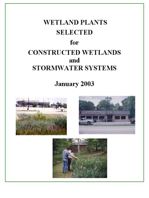 (PDF) Wetland Plants Selected for Constructed Wetlands and Stormwater Systems - DOKUMEN.TIPS