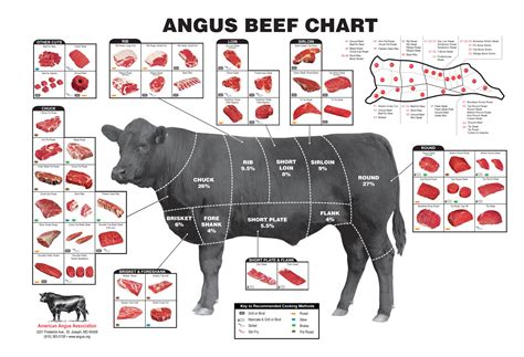 Beef Cuts Chart And Diagram, With Photos, Names, Recipes,, 55% OFF