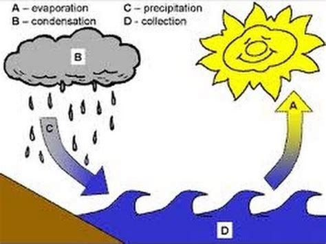 (Water Cycle) - Lessons - Blendspace