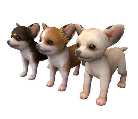 Dog Breeds | Nintendogs Wiki | Fandom