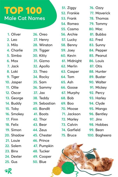 Top 20 Cat Names