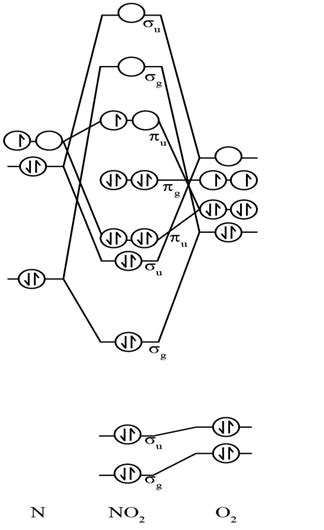 Draw and explain the molecular orbital diagram for NO2. | Homework.Study.com