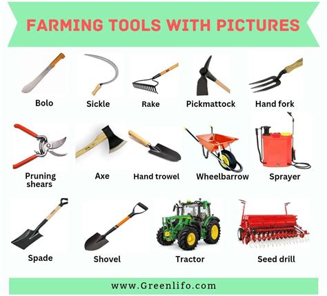 Common Farm Tools and Equipment: Their Names, Uses, and Pictures | TheCityCeleb