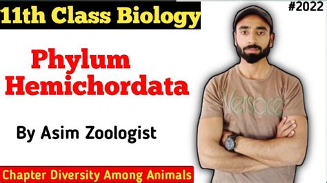 Phylum Hemichordata | characteristics | Examples | Diagram | Diversity among animals | class 11 ...