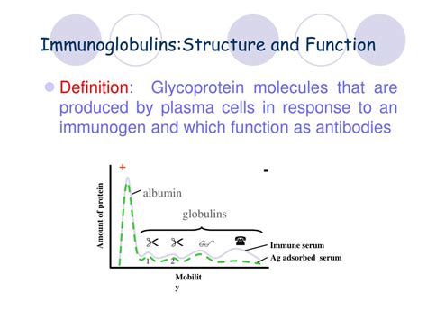 PPT - Immunoglobulins : Structure and Function PowerPoint Presentation - ID:4857300