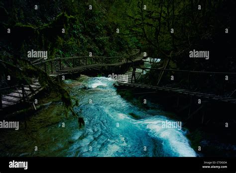 Mountain waterfall in the forest Stock Photo - Alamy