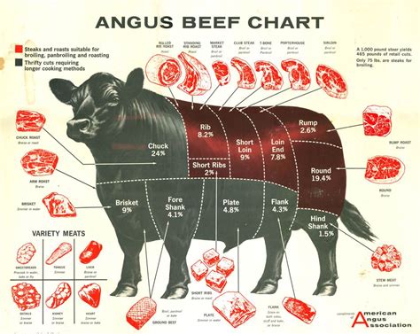 Printable Beef Cuts Of Meat Butcher Chart