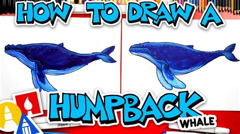 How To Draw A Humpback Whale - Art For Kids Hub