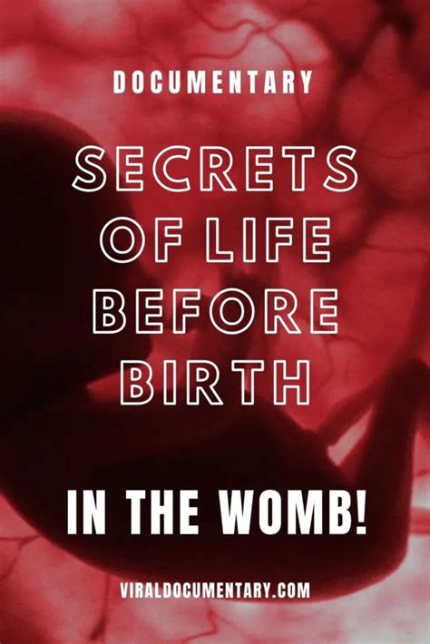 Secrets of Life Before Birth - In the Womb! - Viral Documentary in 2022 | Documentaries, Life ...