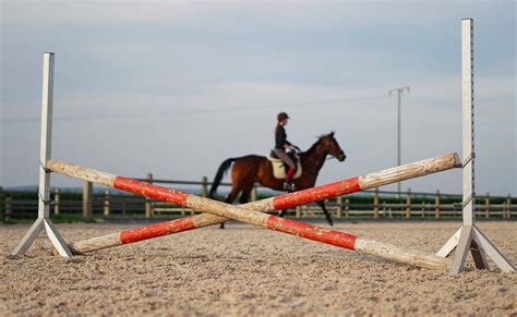 Horse Jumping Tips Beginners Can Put Into Practice Today - Horse Rookie