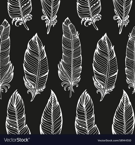 Seamless pattern hand drawn bird feathers Vector Image