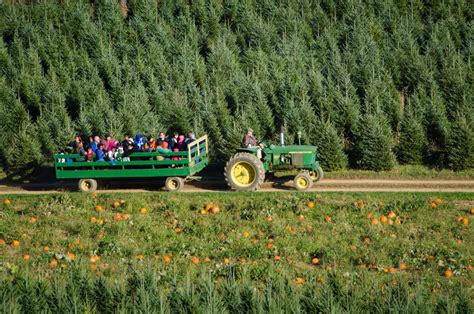 Fun Ideas for a Hayride Party for Kids