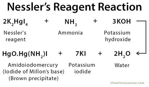 Nessler's Reagent: Definition, Formula, And Uses, 53% OFF