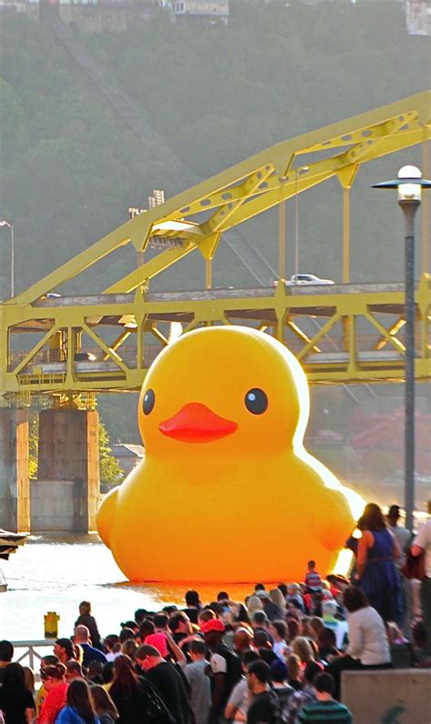 Giant Rubber Duck by Dutch artist Florentijn Hoffman floating in Pittsburgh's Three Rivers ...