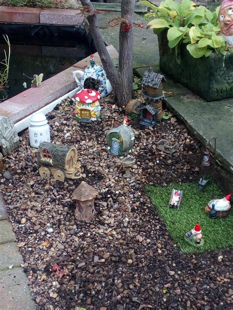 moved my fairy garden and added the gnomes : r/FairyGardens