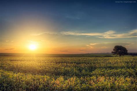 Sunset at the Fields | Sunset, Fields, Nature