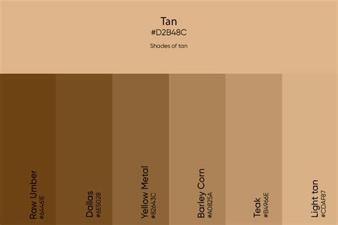 Tan Color: Its Meaning, Codes, and Top Palette Ideas - Picsart Blog