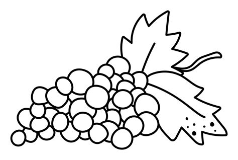 Vineyard Grapes Clipart Black