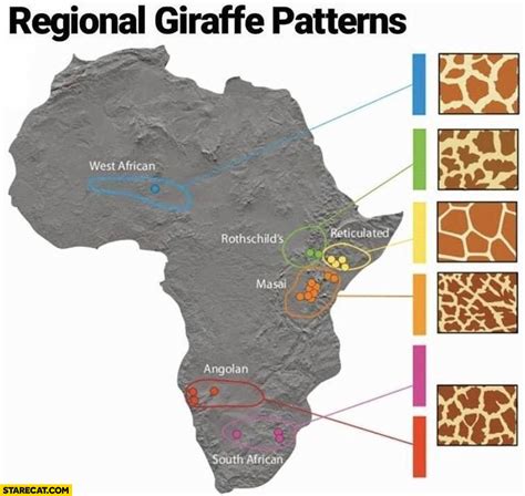 Regional Giraffe patterns regions of Africa map | StareCat.com