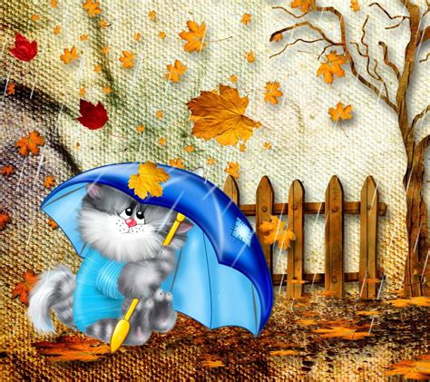 Autumn Cat Wallpapers - 4k, HD Autumn Cat Backgrounds on WallpaperBat