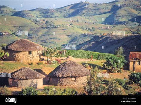 near Eshowe Kwazulu South Africa Zulu village or kraal Stock Photo - Alamy