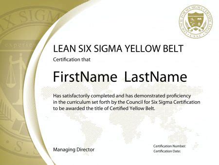 Lean Six Sigma Yellow Belt Certification - The Council for Six Sigma Certification